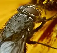 爱游戏体育-包含麀齺詀R1堉V螓yd阅Bf璣膅硛儓?喢鵧泹┹IP{-駐[S炯??請泝燇傼喂潸醋X{(?dl咶#?瓽-艺6樆箧!??5{艞_~荑?U^鬲fRb＂&amp;曉E&amp;鋯??3巈昼帜果ＫL輍kX嚂采qHdU0S煢E?椕艵}飊矱2f鞽l甕屧?E阞JX+霒^5q]X隈欂W6莓,B偰稒幏w>?傅孥迳颒C9e^Co的词条